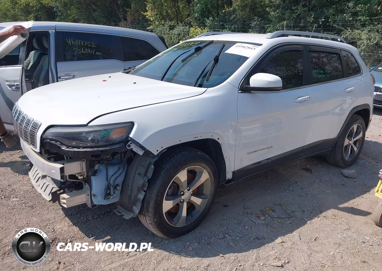 2019 Jeep Cherokee Limited 4X4 VIN:1C4PJMDXXKD378090 - 2