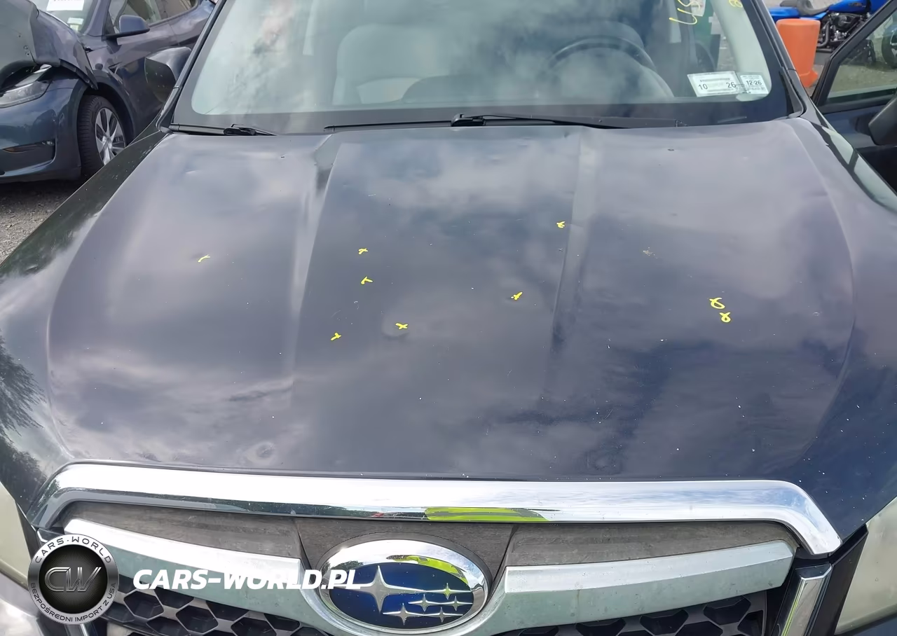 2014 Subaru Forester 2.5I Premium VIN:JF2SJADC5EH441875 - 6