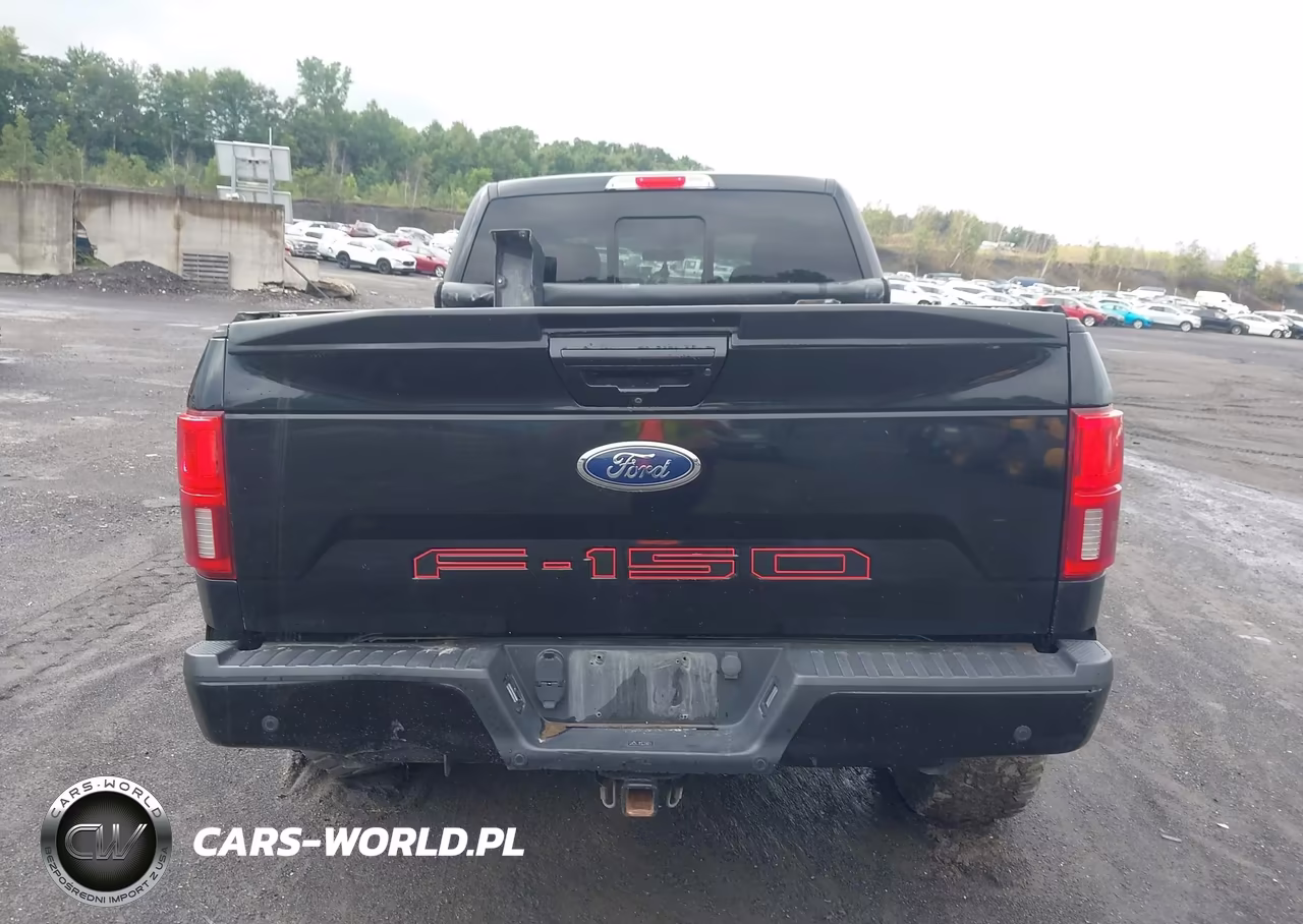 2019 Ford F-150 Lariat VIN:1FTFW1E48KFC49950 - 16
