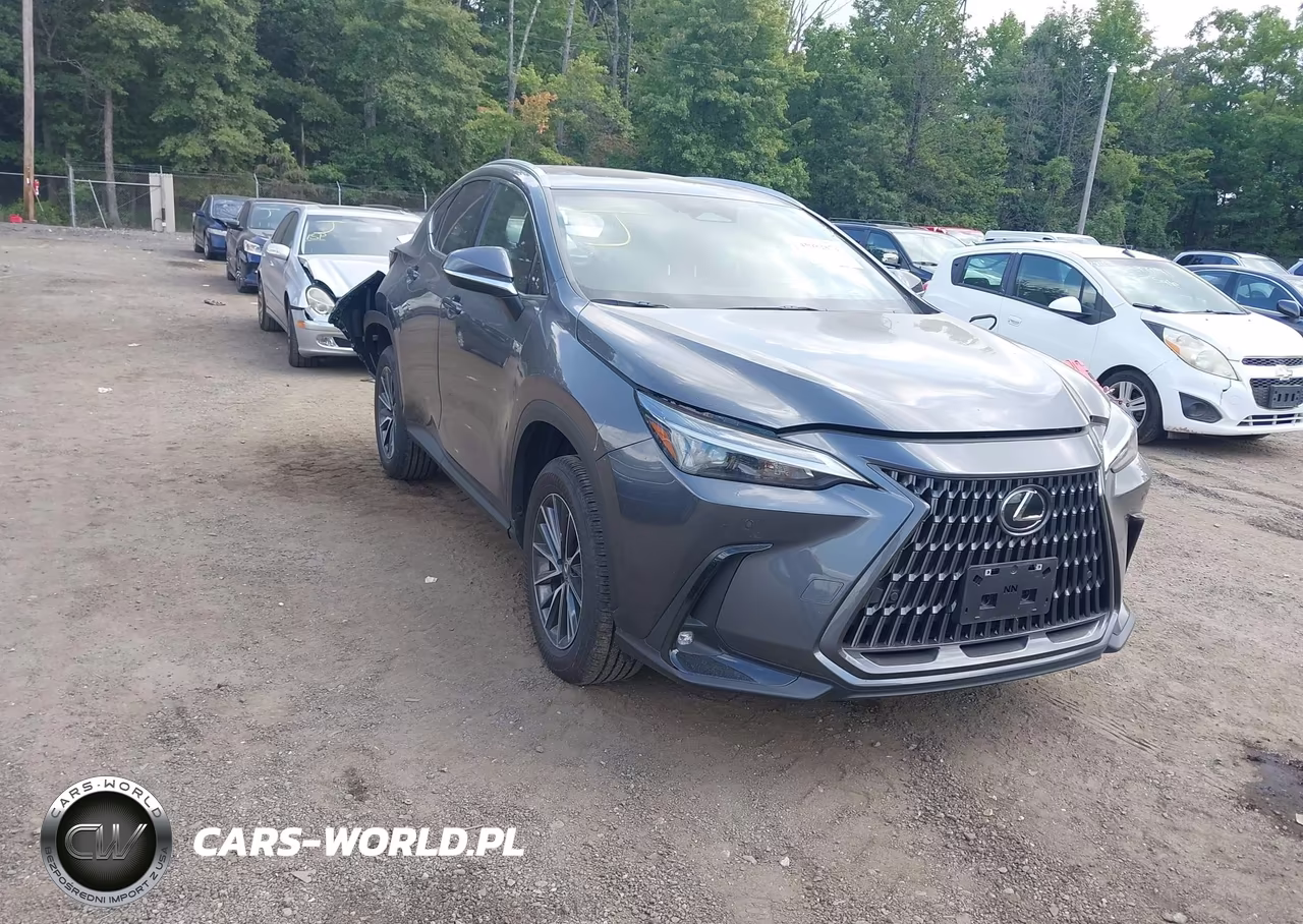 2025 Lexus Nx 350 Premium VIN:2T2GGCEZXSC092273 - 1