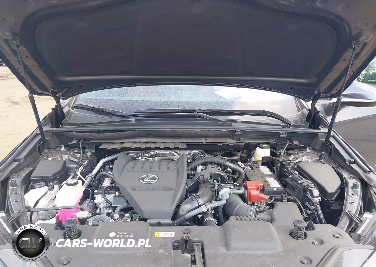 2025 Lexus Nx 350 Premium VIN:2T2GGCEZXSC092273 - 10