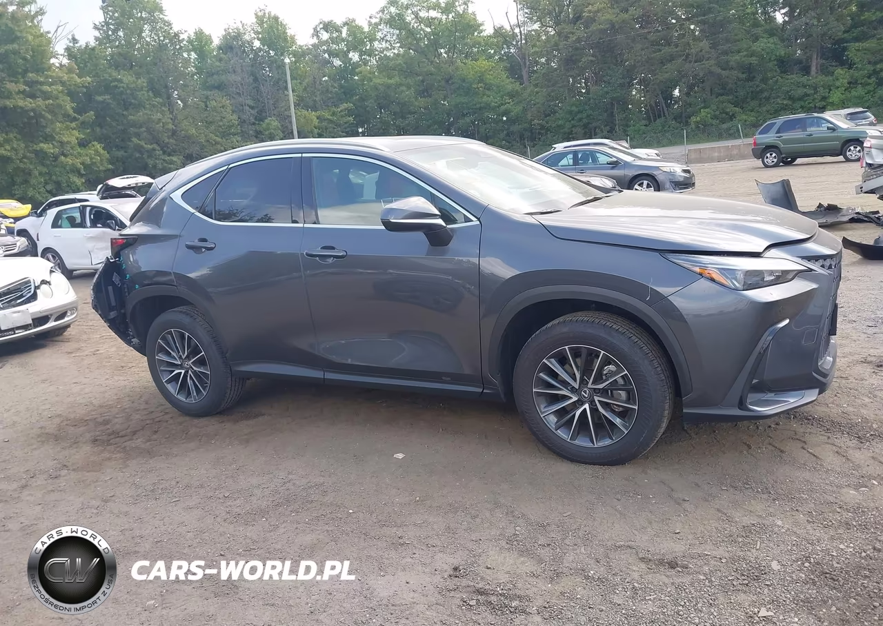 2025 Lexus Nx 350 Premium VIN:2T2GGCEZXSC092273 - 13