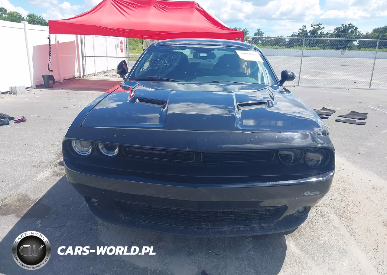 2018 Dodge Challenger Sxt VIN:2C3CDZAGXJH318260 - 12
