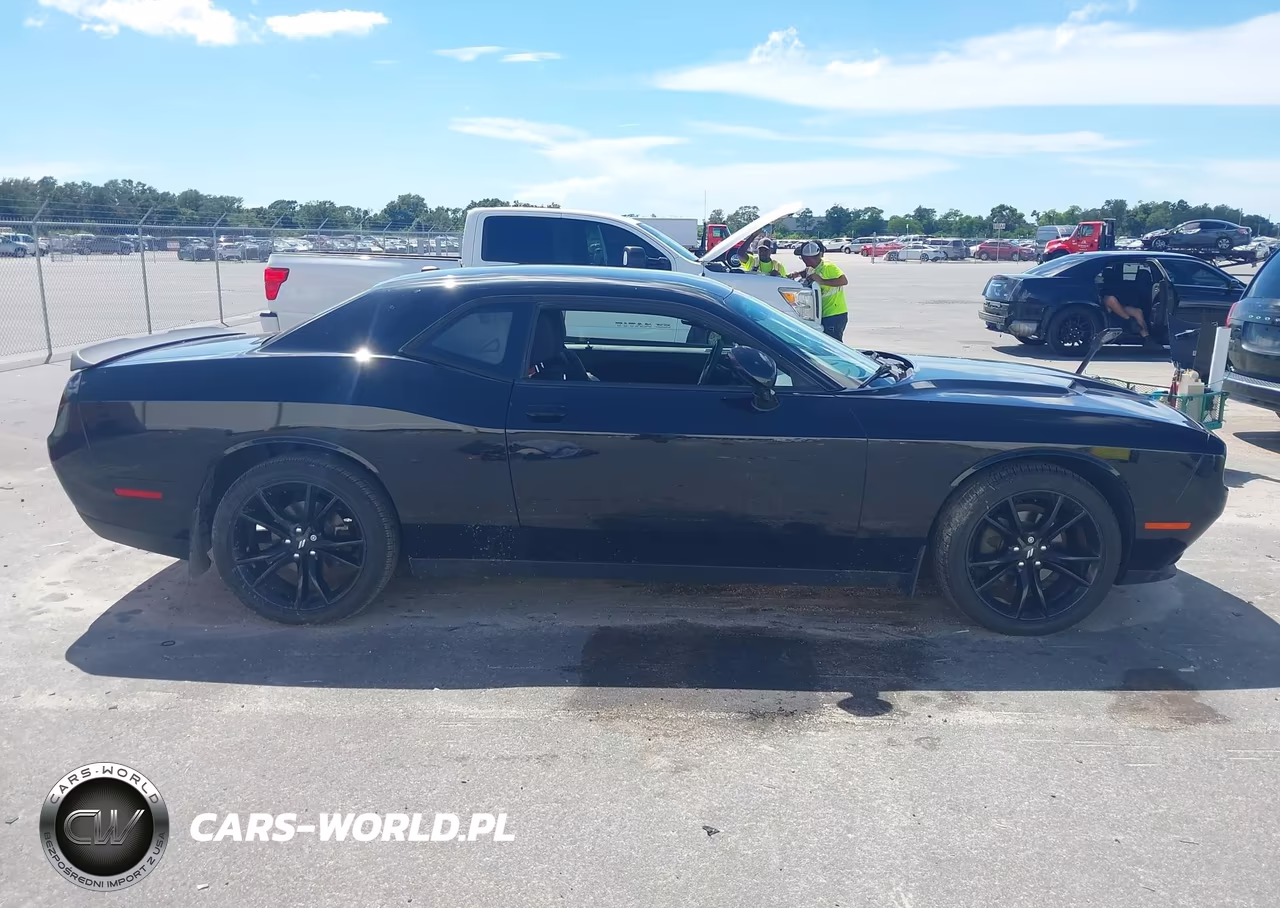 2018 Dodge Challenger Sxt VIN:2C3CDZAGXJH318260 - 13