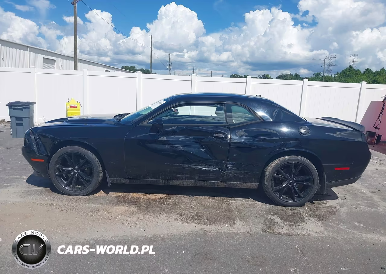 2018 Dodge Challenger Sxt VIN:2C3CDZAGXJH318260 - 14