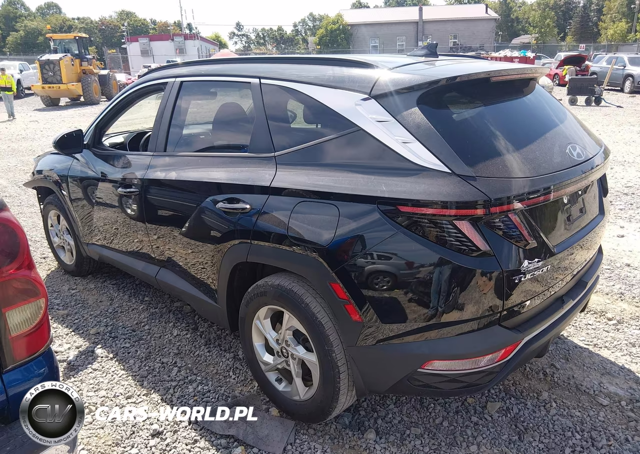2023 Hyundai Tucson Sel VIN:5NMJBCAEXPH201408 - 15