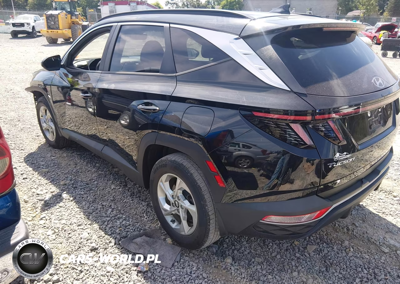 2023 Hyundai Tucson Sel VIN:5NMJBCAEXPH201408 - 3