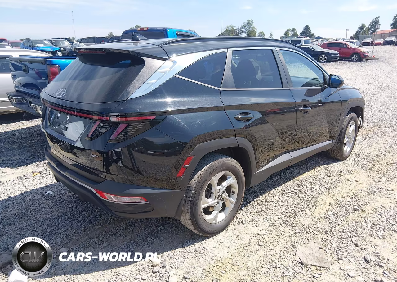 2023 Hyundai Tucson Sel VIN:5NMJBCAEXPH201408 - 4