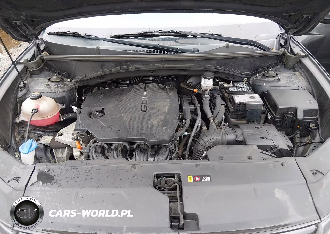 2024 Hyundai Tucson Sel VIN:5NMJF3DE8RH316429 - 10