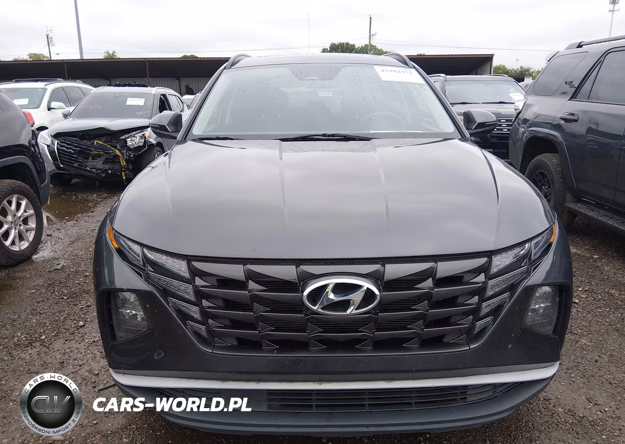 2024 Hyundai Tucson Sel VIN:5NMJF3DE8RH316429 - 12
