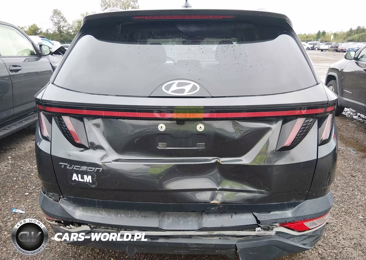 2024 Hyundai Tucson Sel VIN:5NMJF3DE8RH316429 - 16