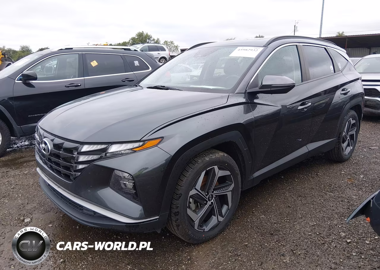 2024 Hyundai Tucson Sel VIN:5NMJF3DE8RH316429 - 2