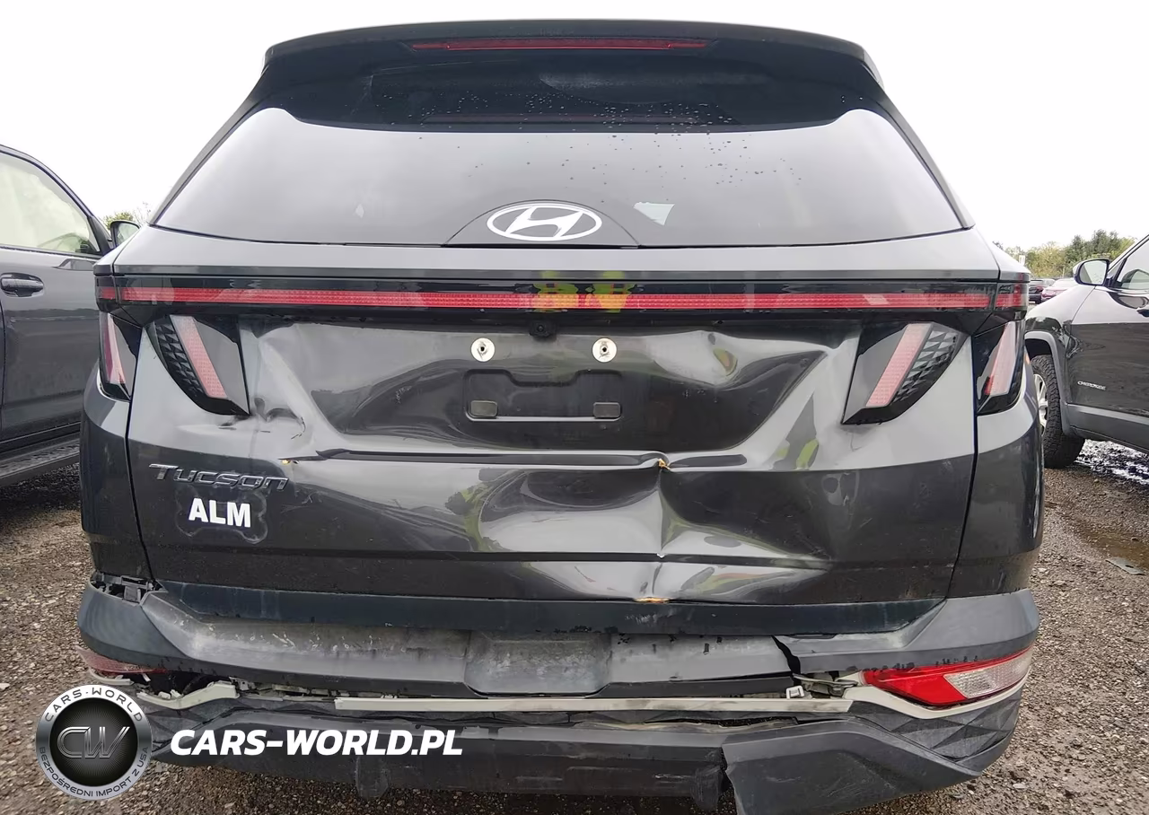 2024 Hyundai Tucson Sel VIN:5NMJF3DE8RH316429 - 6