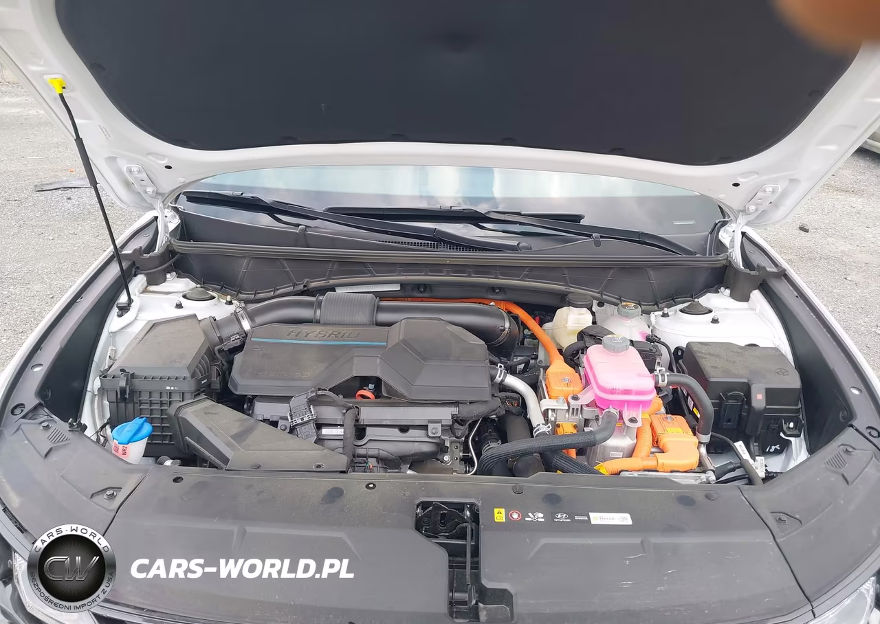 2025 Hyundai Tucson Hybrid Blue VIN:KM8JBDD19SU341977 - 10