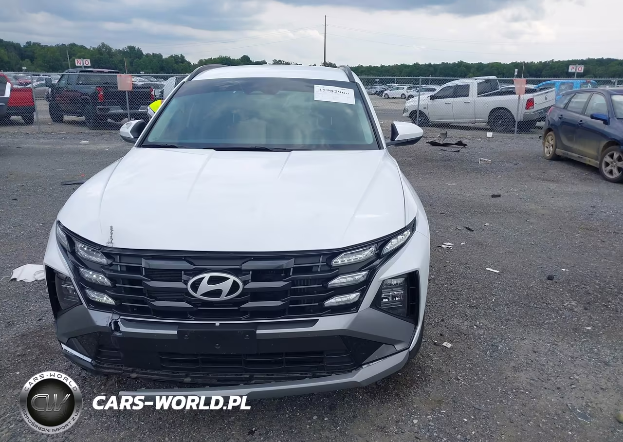 2025 Hyundai Tucson Hybrid Blue VIN:KM8JBDD19SU341977 - 12
