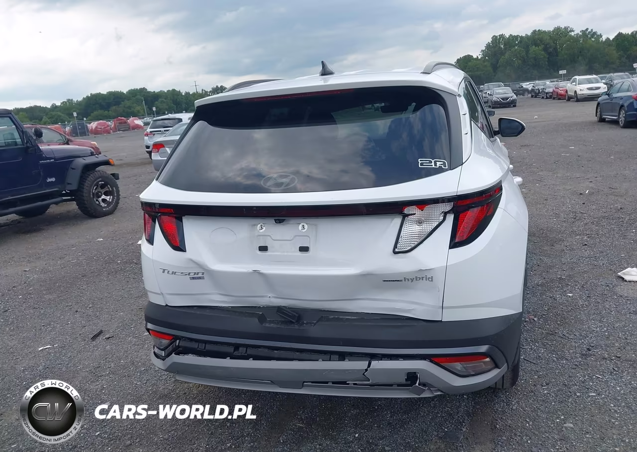 2025 Hyundai Tucson Hybrid Blue VIN:KM8JBDD19SU341977 - 16