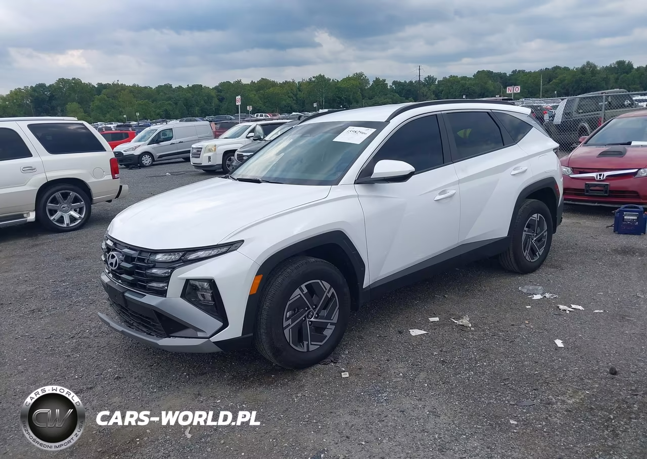 2025 Hyundai Tucson Hybrid Blue VIN:KM8JBDD19SU341977 - 2