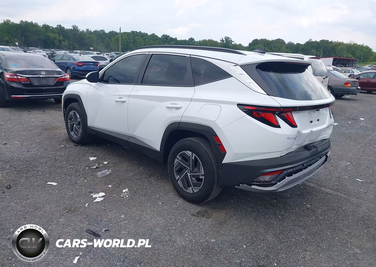 2025 Hyundai Tucson Hybrid Blue VIN:KM8JBDD19SU341977 - 3