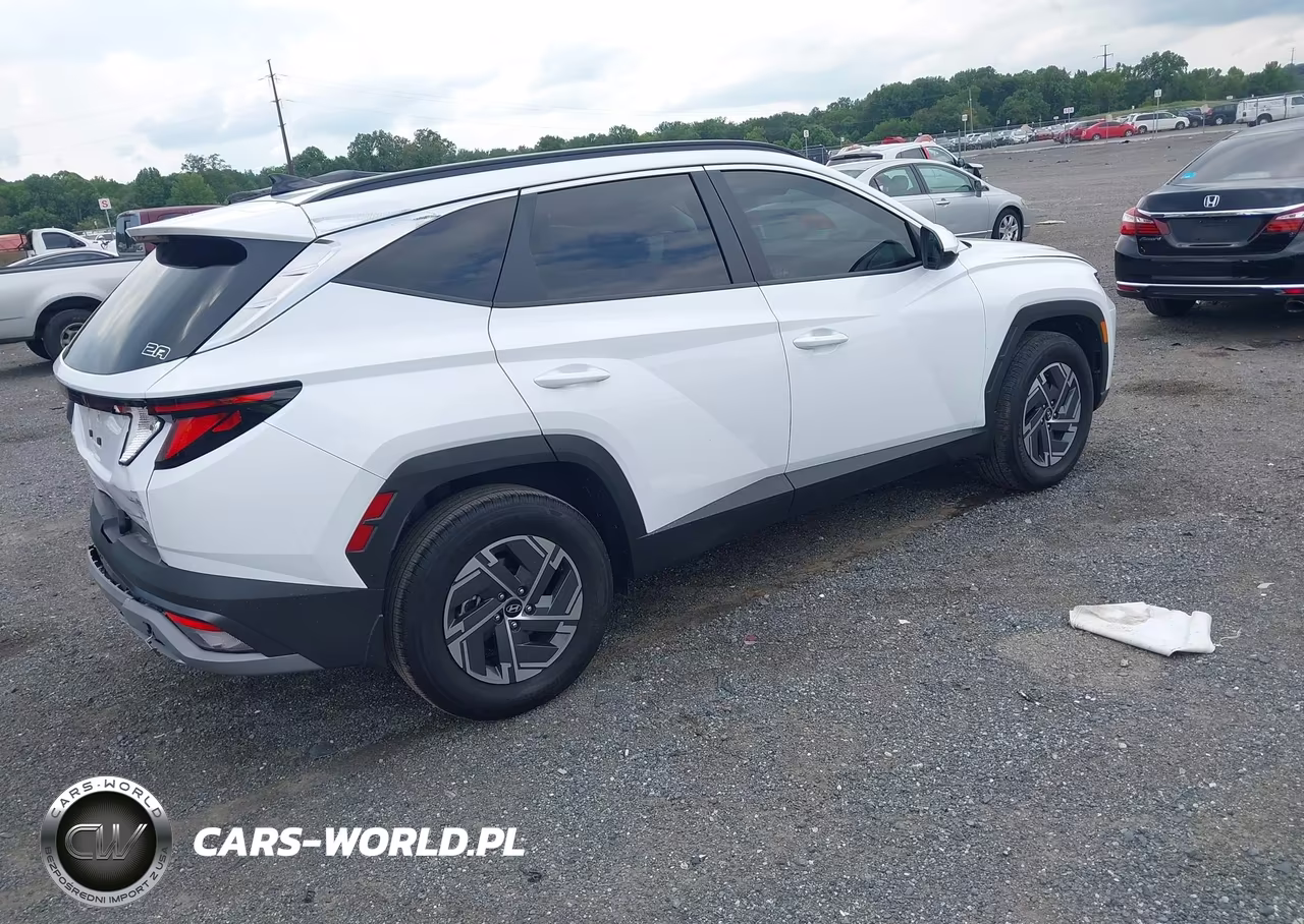 2025 Hyundai Tucson Hybrid Blue VIN:KM8JBDD19SU341977 - 4