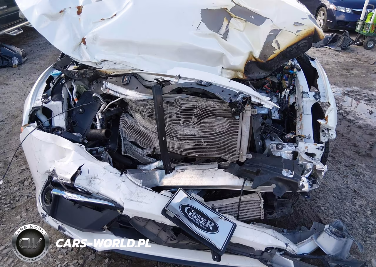 2019 Honda Civic Ex-L VIN:19XFC1F77KE006755 - 6