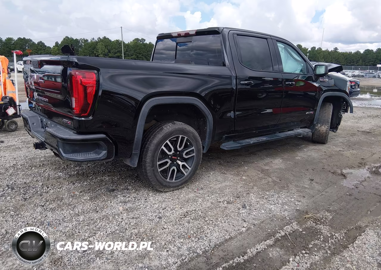 2020 GMC Sierra K1500 At4 VIN:3GTP9EEL6LG302137 - 4