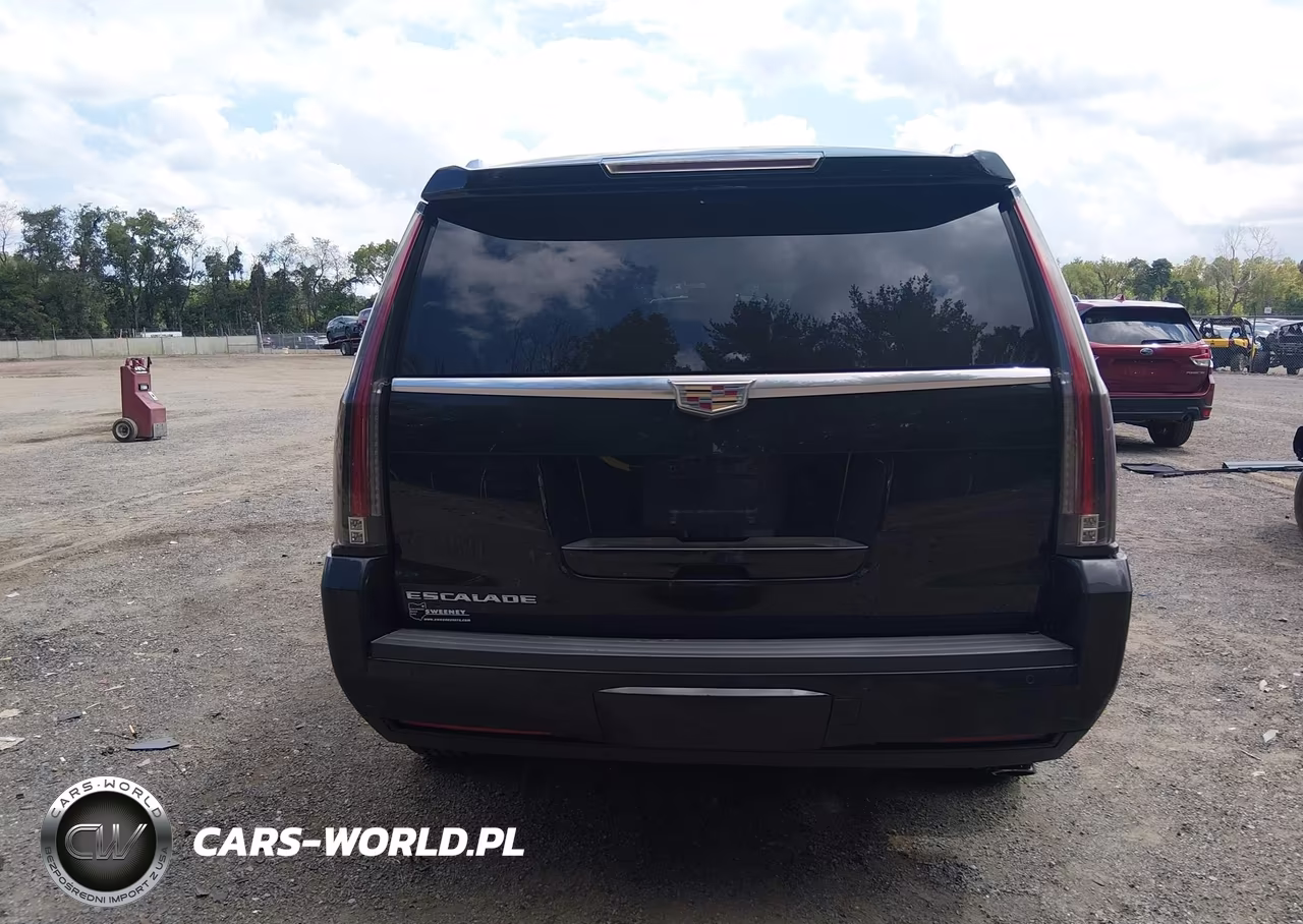2015 Cadillac Escalade Luxury VIN:1GYS4MKJ1FR628660 - 17