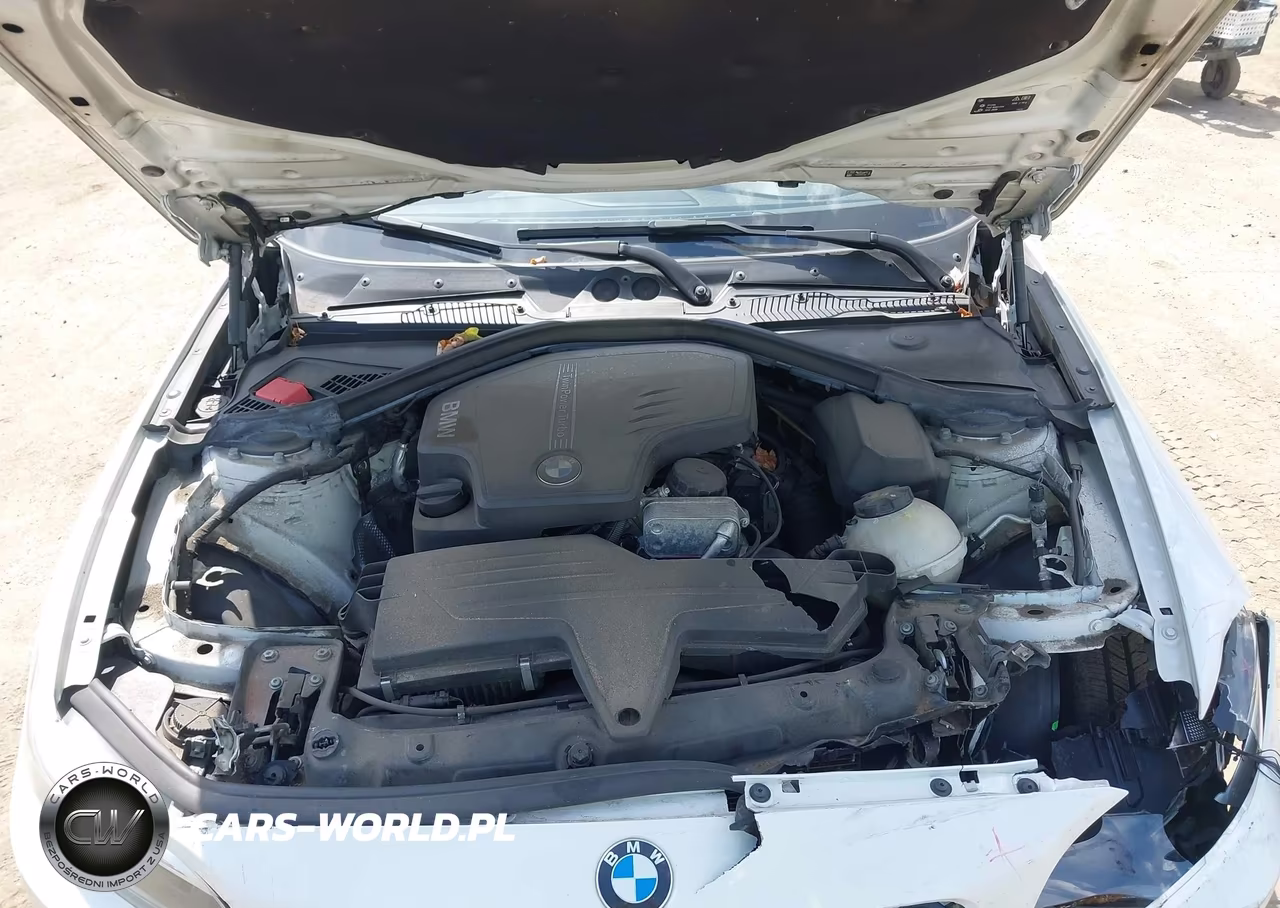 2016 BMW 228I xDrive VIN:WBA1G9C53GV726649 - 10