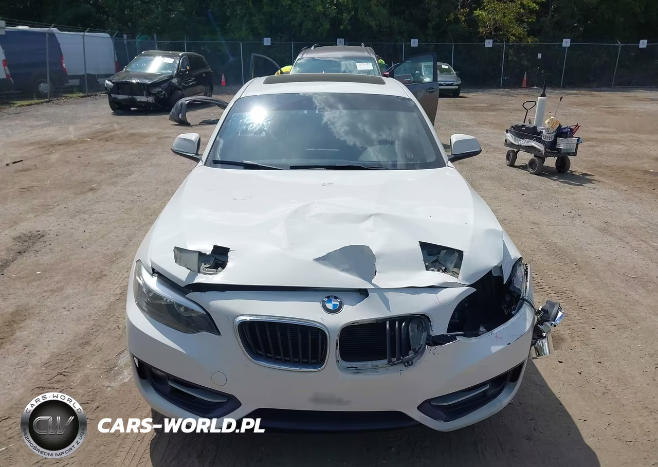 2016 BMW 228I xDrive VIN:WBA1G9C53GV726649 - 12