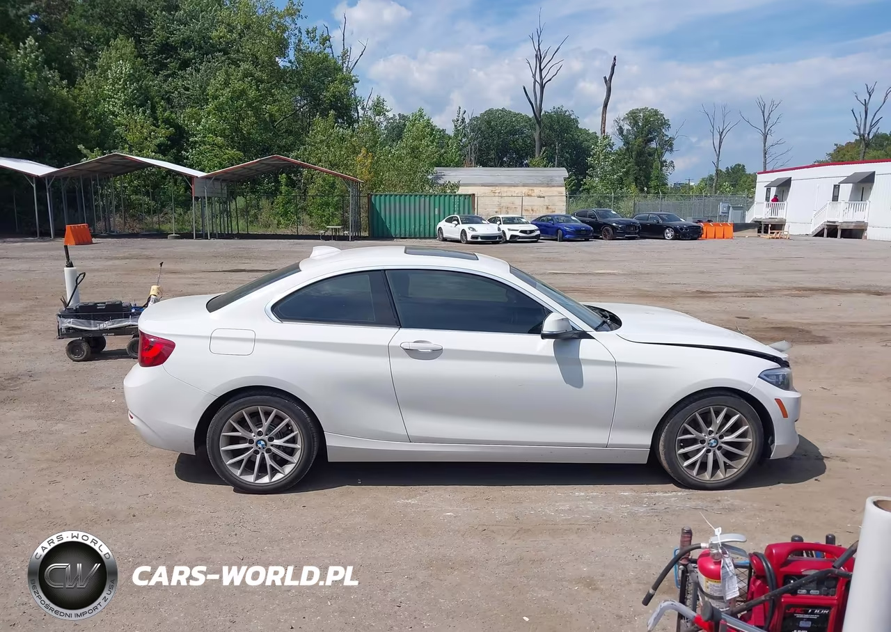 2016 BMW 228I xDrive VIN:WBA1G9C53GV726649 - 13