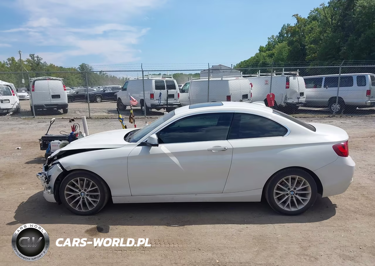 2016 BMW 228I xDrive VIN:WBA1G9C53GV726649 - 14