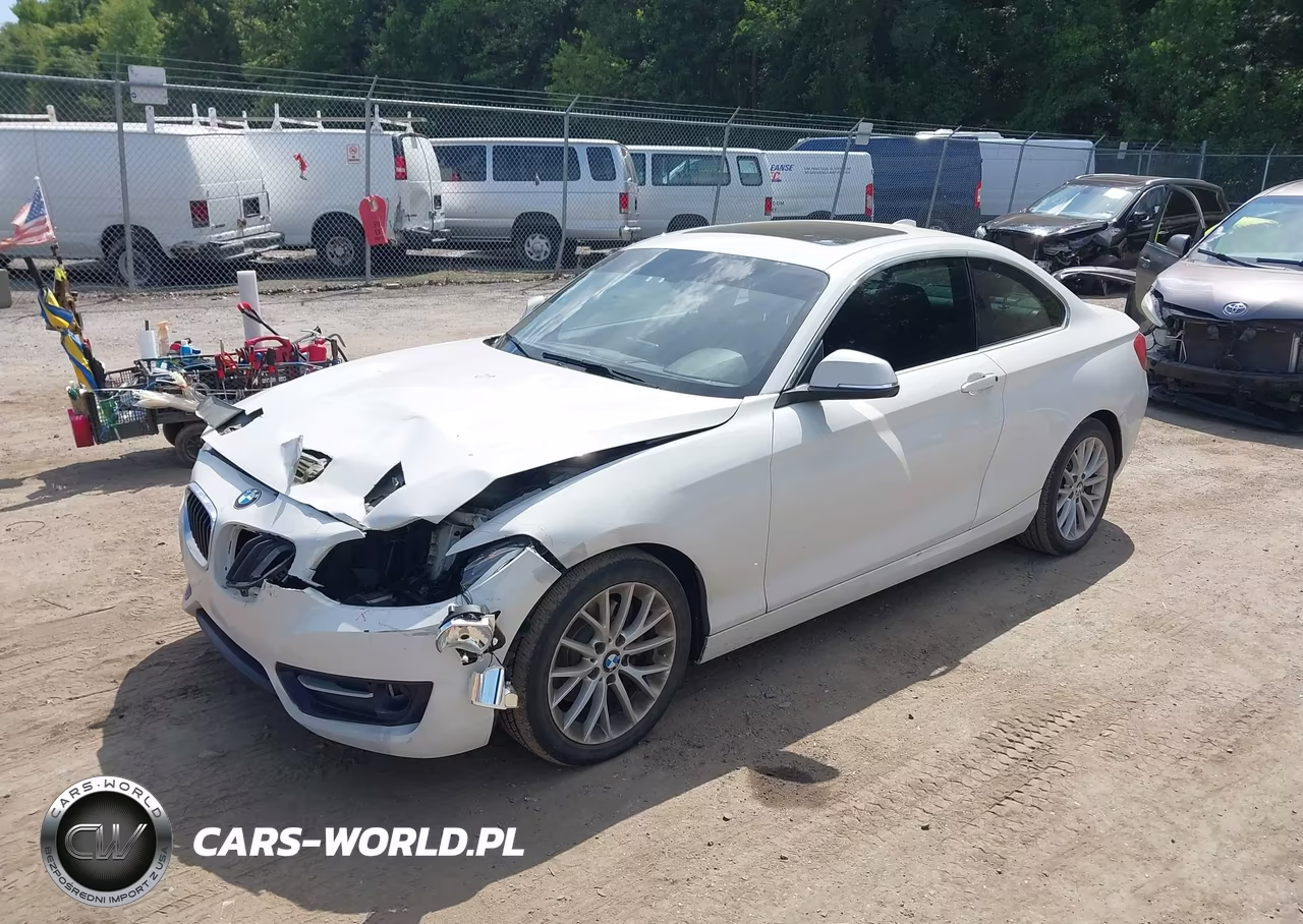 2016 BMW 228I xDrive VIN:WBA1G9C53GV726649 - 2