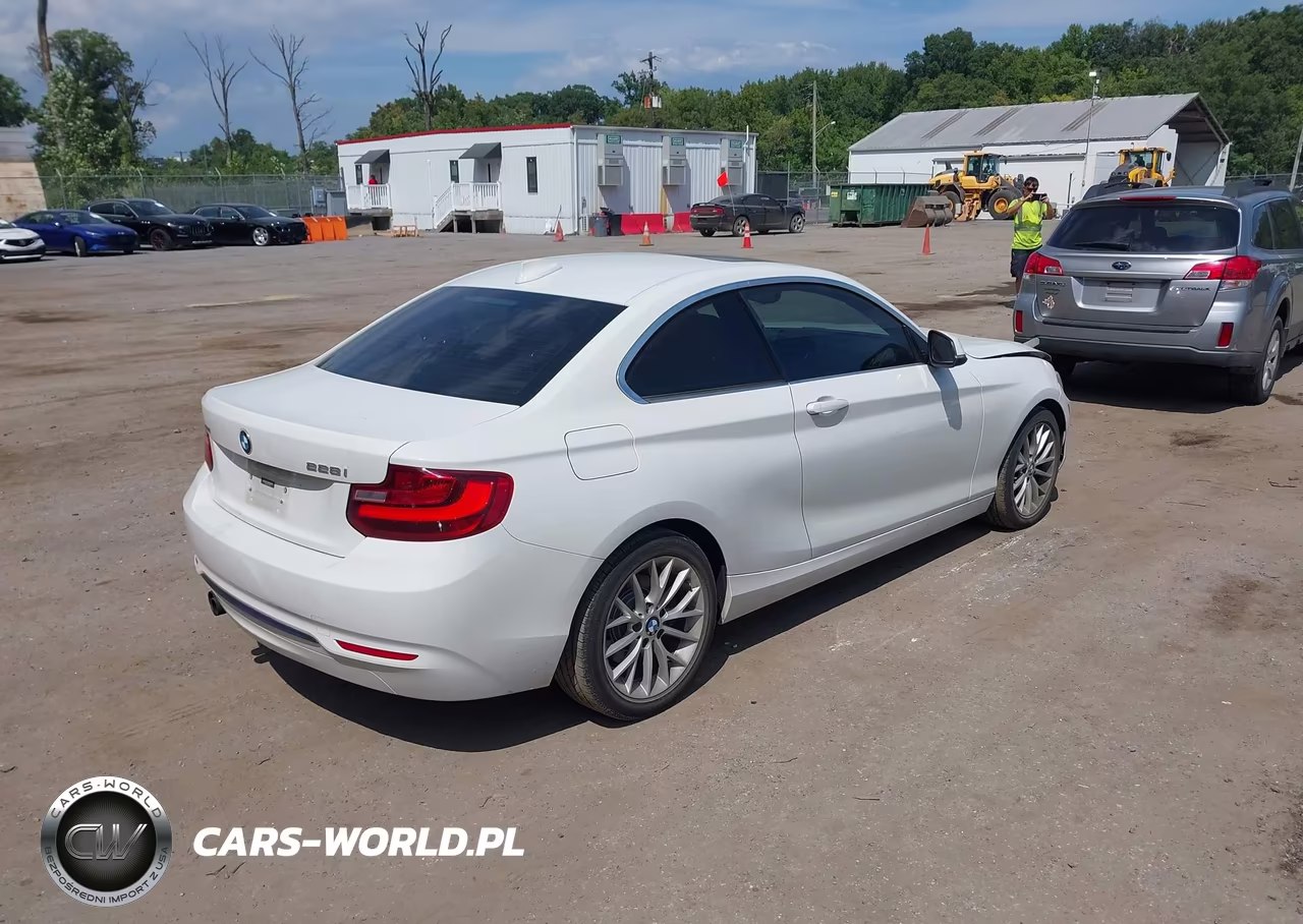 2016 BMW 228I xDrive VIN:WBA1G9C53GV726649 - 4