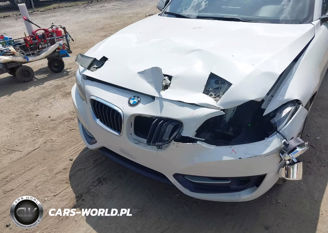 2016 BMW 228I xDrive VIN:WBA1G9C53GV726649 - 6