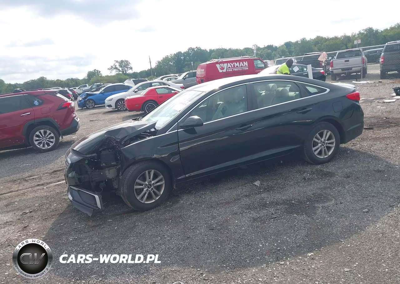 2016 Hyundai Sonata Se VIN:5NPE24AF9GH355580 - 2