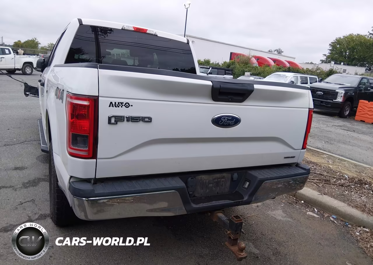 2015 Ford F-150 Xlt VIN:1FTEW1EF6FFB98550 - 16