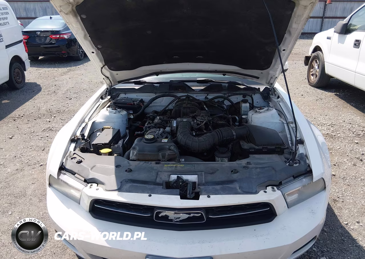 2010 Ford Mustang V6-V6 Premium VIN:1ZVBP8AN6A5119508 - 10
