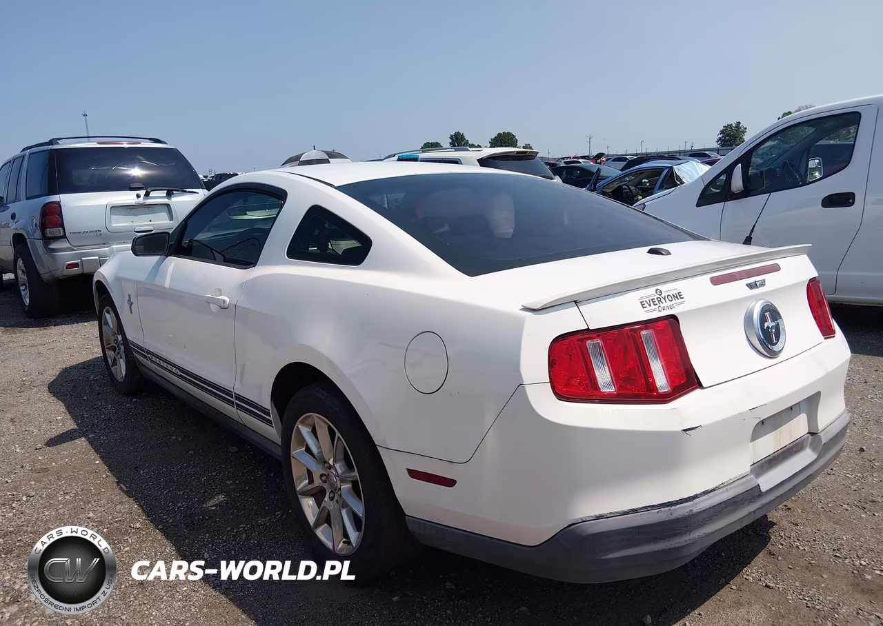 2010 Ford Mustang V6-V6 Premium VIN:1ZVBP8AN6A5119508 - 3