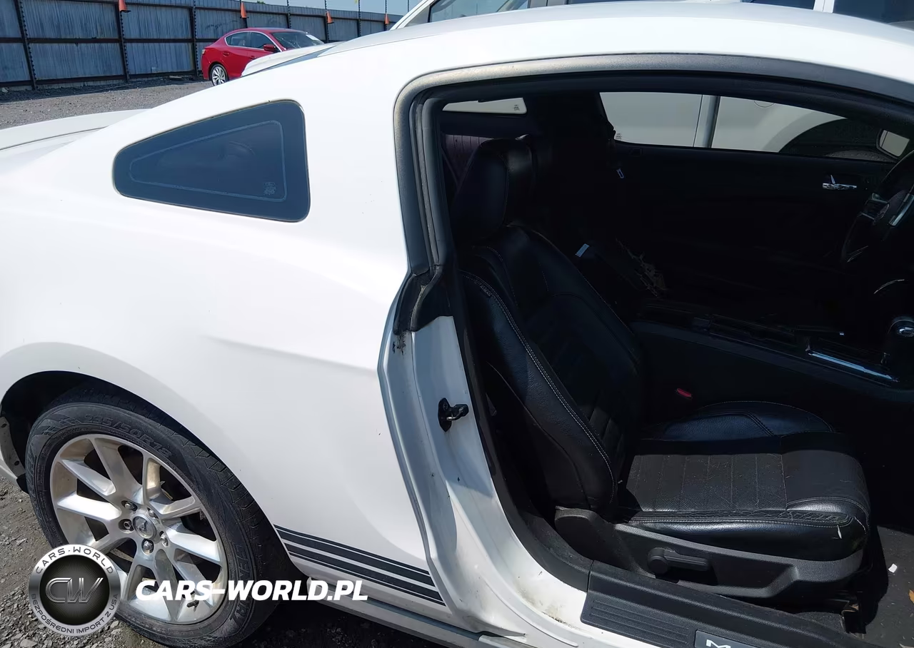 2010 Ford Mustang V6-V6 Premium VIN:1ZVBP8AN6A5119508 - 8