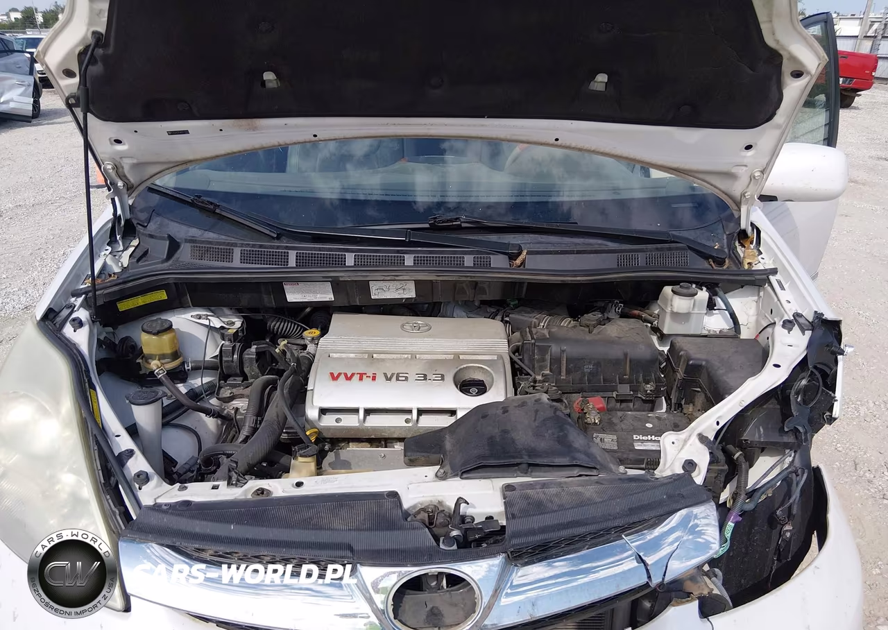2006 Toyota Sienna Xle Limited VIN:5TDZA22C46S511370 - 10