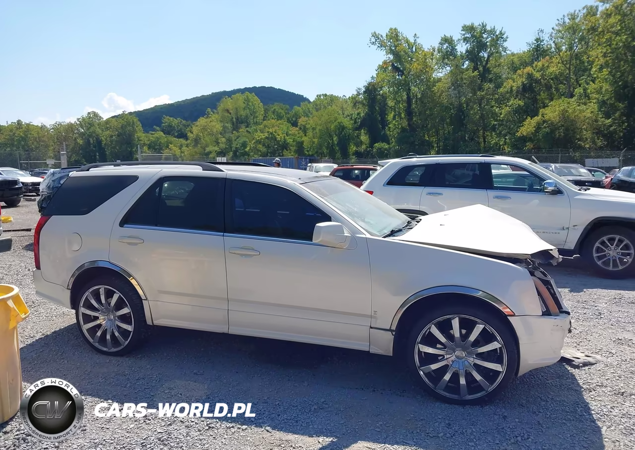 2006 Cadillac Srx V6 VIN:1GYEE637460173395 - 13