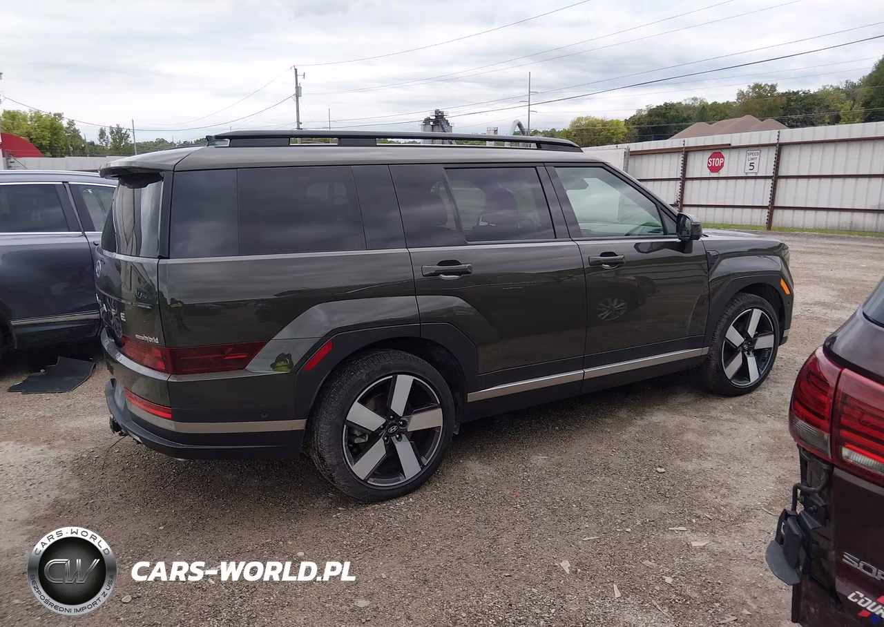2025 Hyundai Santa Fe Hybrid Limited VIN:5NMP3DG10SH022952 - 13