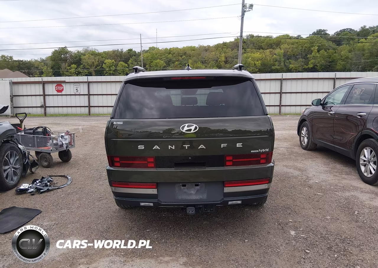 2025 Hyundai Santa Fe Hybrid Limited VIN:5NMP3DG10SH022952 - 16