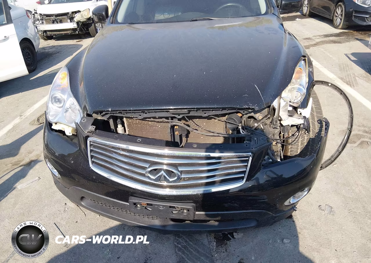 2011 Infiniti Ex35 Journey VIN:JN1AJ0HR9BM850695 - 12