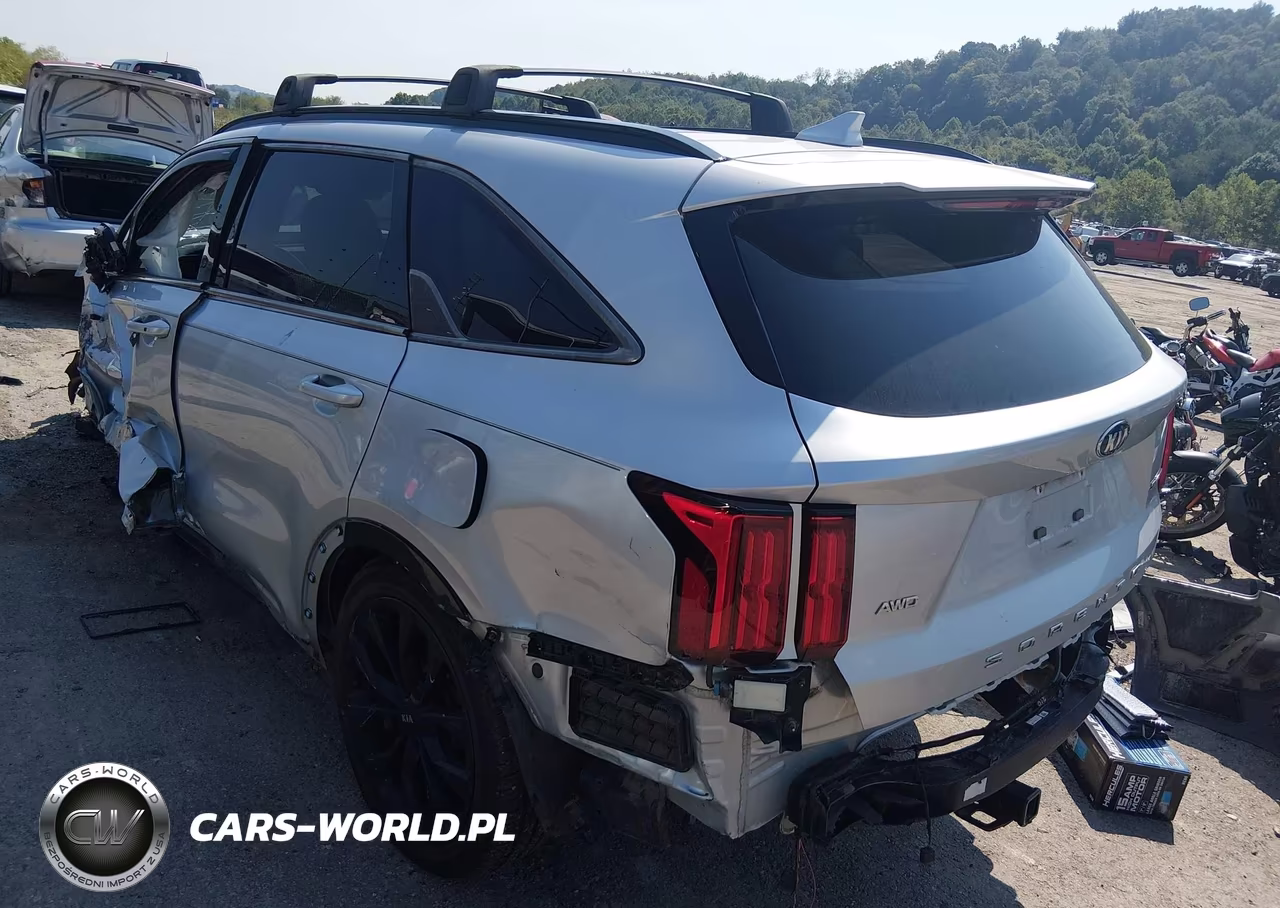 2021 Kia Sorento Sx VIN:5XYRKDLF4MG032443 - 3