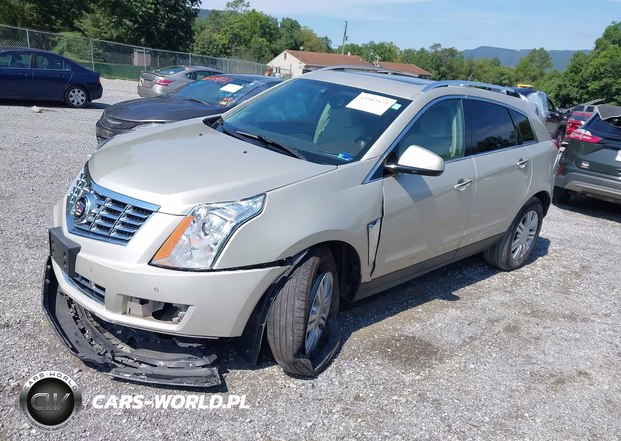 2013 Cadillac Srx Luxury Collection VIN:3GYFNGE30DS550704 - 2