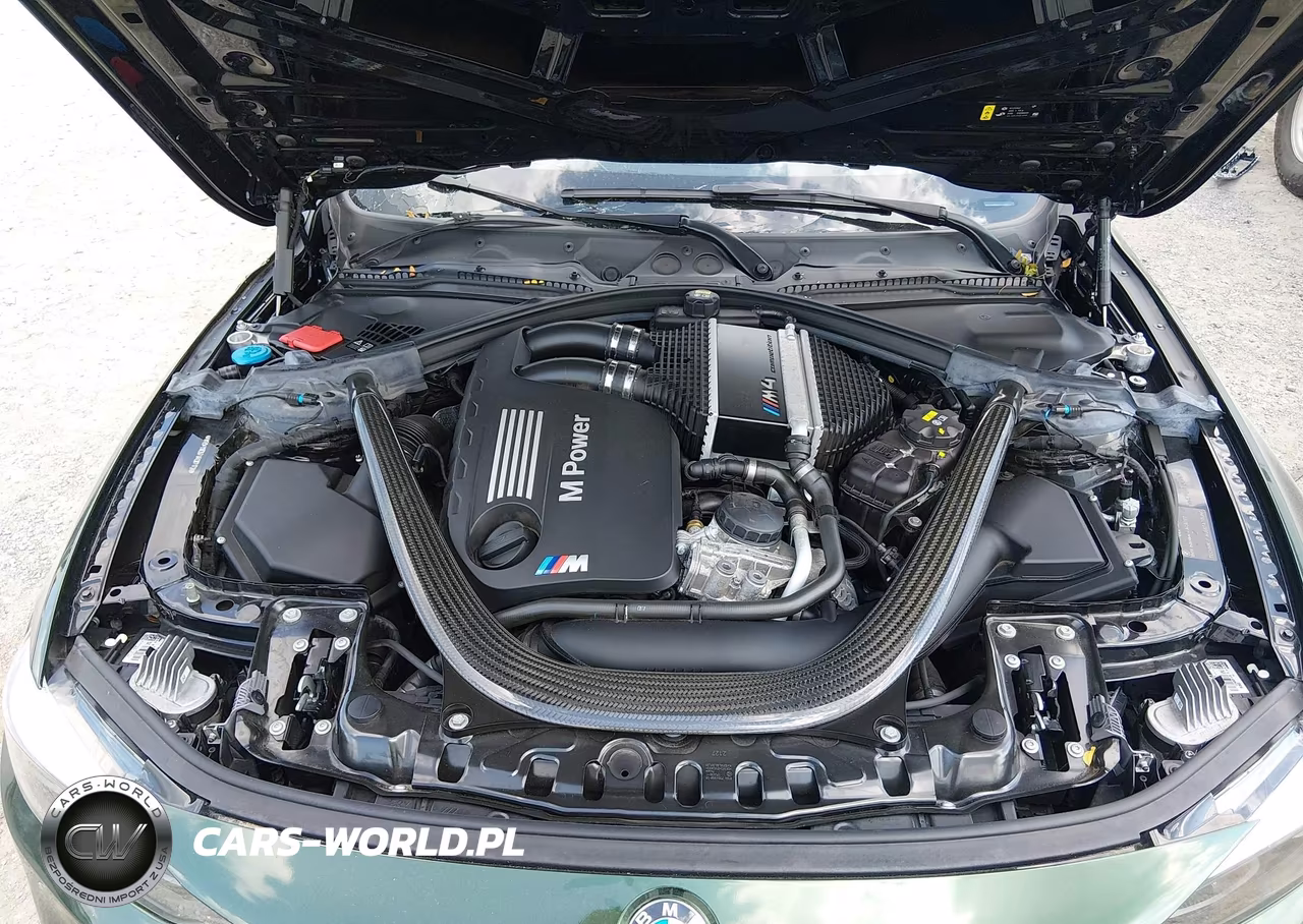 2018 BMW M4 VIN:WBS4Y9C57JAC87172 - 9