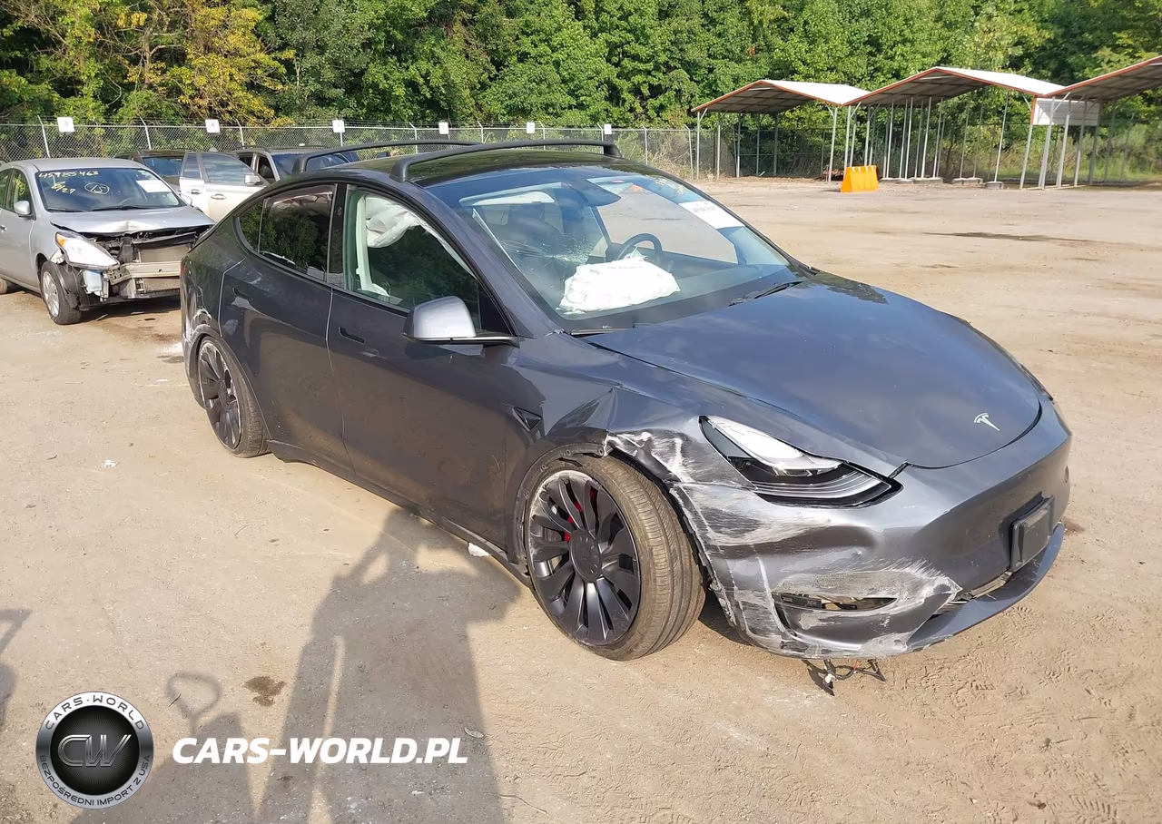 2023 Tesla Model Y Performance Dual Motor All-Wheel Drive