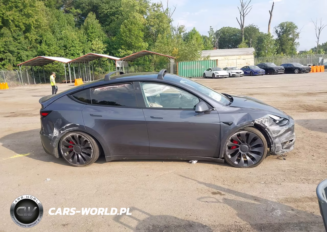 2023 Tesla Model Y Performance Dual Motor All-Wheel Drive VIN:7SAYGDEF6PF862057 - 13
