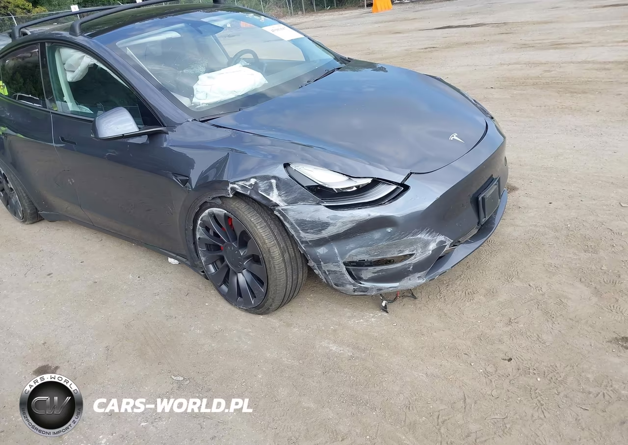 2023 Tesla Model Y Performance Dual Motor All-Wheel Drive VIN:7SAYGDEF6PF862057 - 6