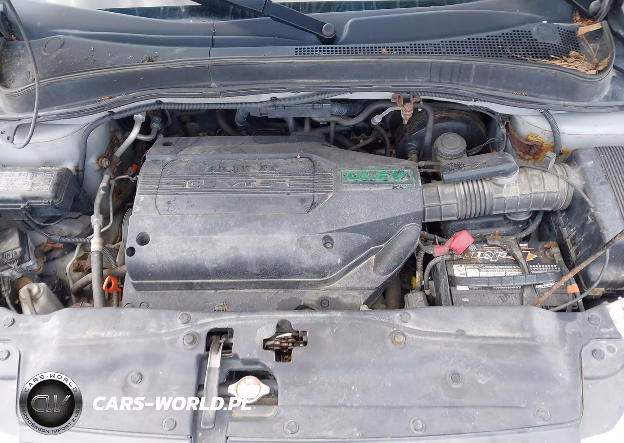 2004 Honda Pilot Ex-L VIN:2HKYF18544H505927 - 10